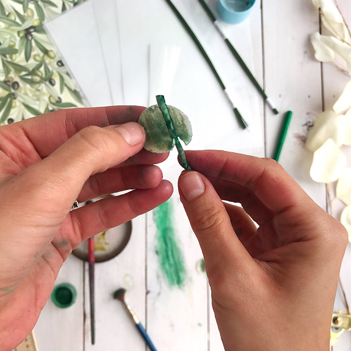 Вафельный эвкалипт